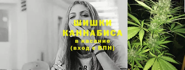ешки Аркадак