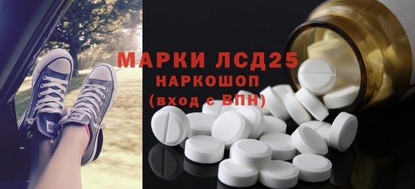 ешки Аркадак