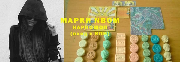 хмурый Арсеньев