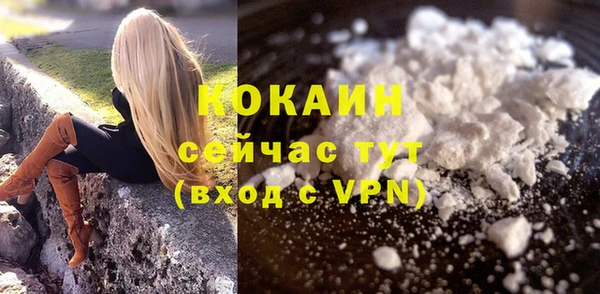хмурый Арсеньев