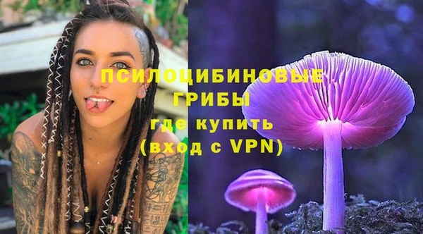 хмурый Арсеньев