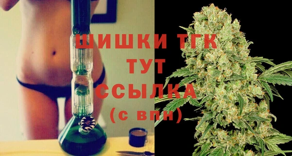 ешки Аркадак