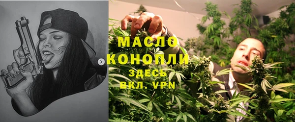 хмурый Арсеньев