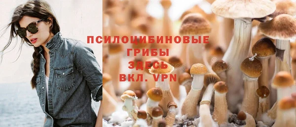 ешки Аркадак
