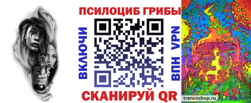 Псилоцибиновые грибы Cubensis  это какой сайт  Высоковск 